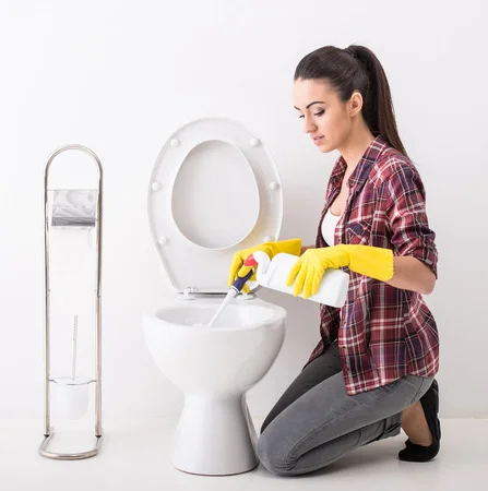 toilet cleaner